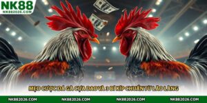 Mẹo Cược Đá Gà Cựa Dao Và 3 Bí Kíp Chuẩn Từ Lão Làng